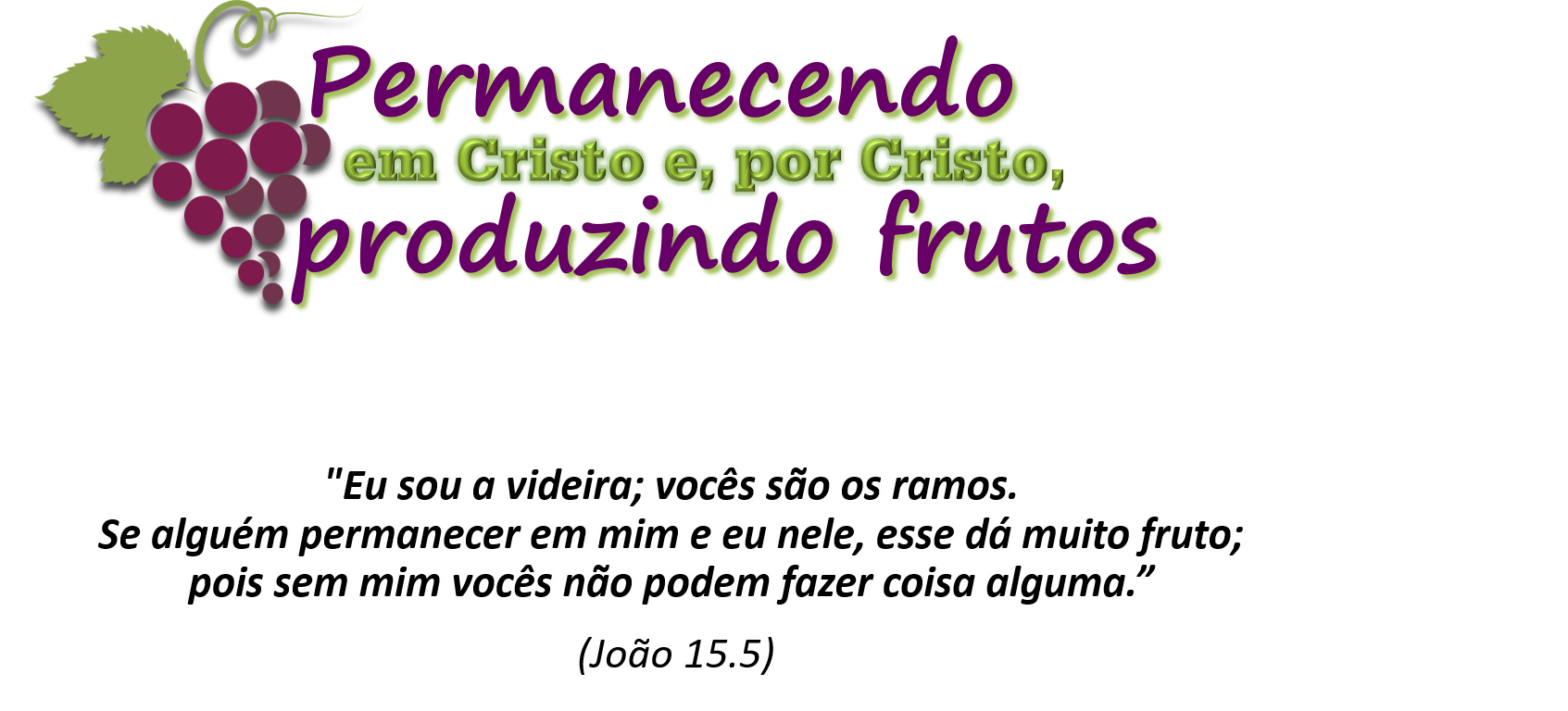 imagem introducao